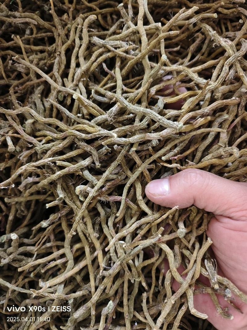 铁皮石斛干条打粉料量大优惠欢迎来电咨询