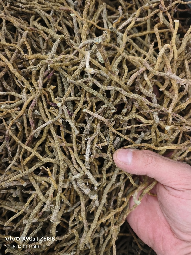 铁皮石斛干条打粉料量大优惠欢迎来电咨询