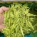 黄金茶，新安1号，新安4号，自家茶园，没有中间商