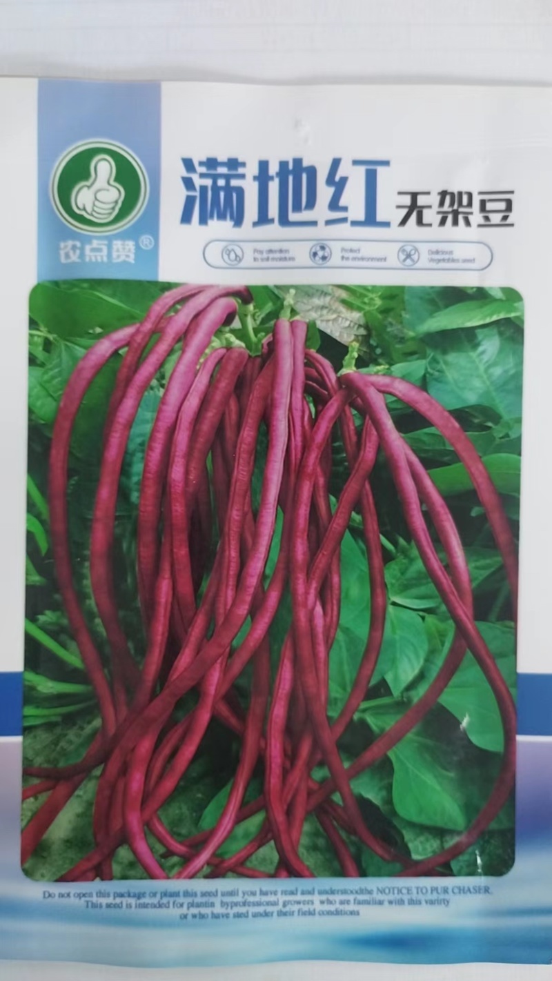 豇豆种子-不用搭架无丝无筋肉厚脆嫩
