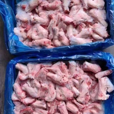 羊拐筋