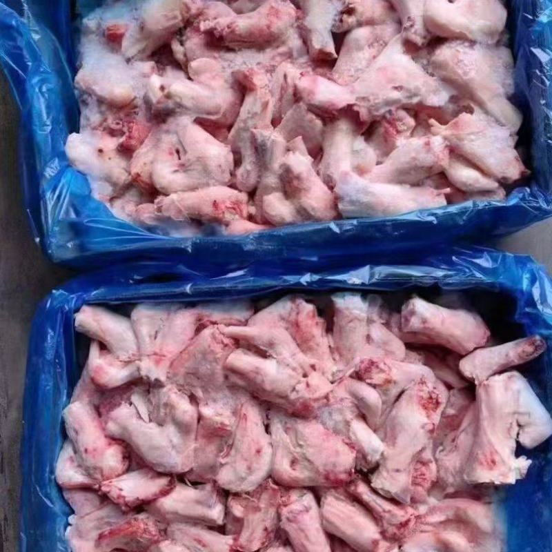 羊拐筋
