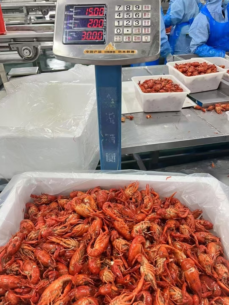 大闸蟹龙虾一手货源产地直销没有中间商