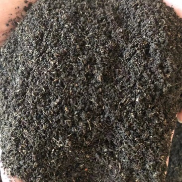 羊粪生物菌肥有效活菌5亿果树专用肥