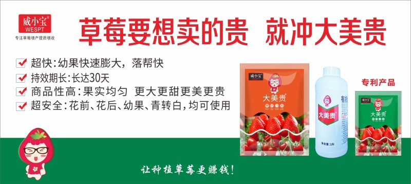 大美贵草莓专用肥料套餐有机肥水溶肥草莓快速膨大增甜
