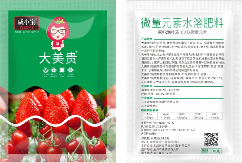 大美贵草莓专用肥料套餐有机肥水溶肥草莓快速膨大增甜