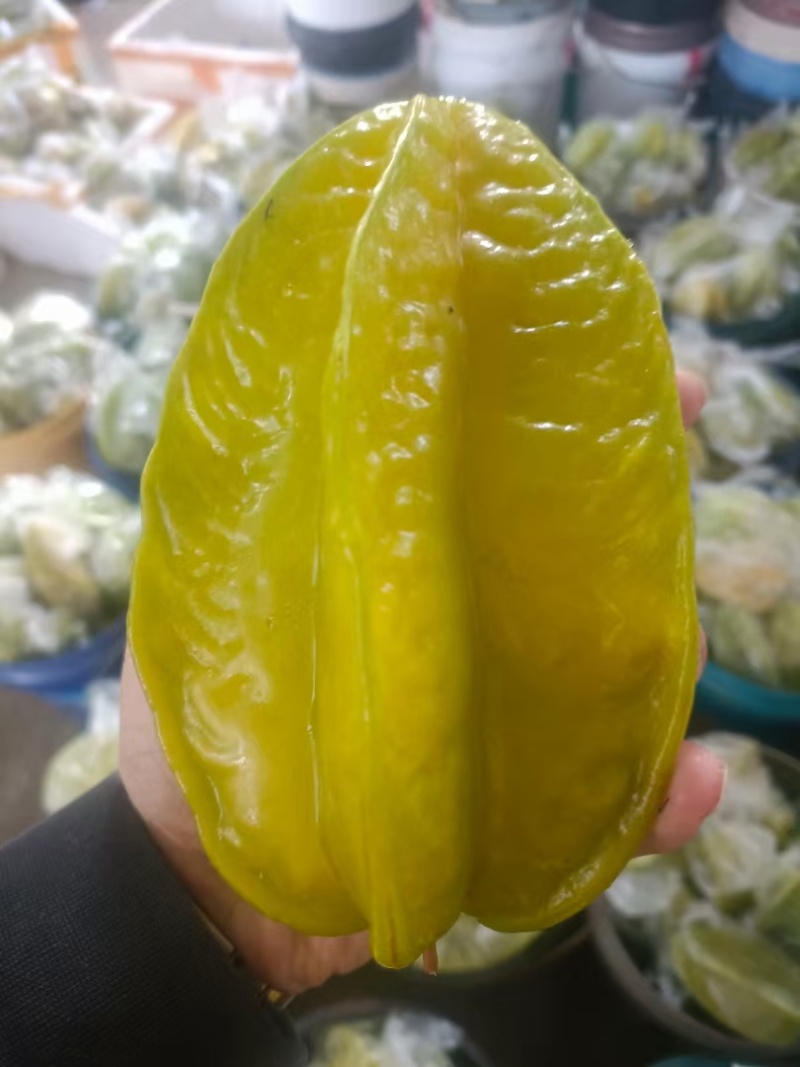 杨桃。每天当天收当天发货，可以定制果，可以做礼包，青黄果