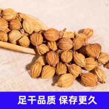 香砂批发中药材香料类批发中药材香料类批发都有欢迎选购批发