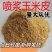 喷浆玉米皮家禽家畜营养好饲料适用牛羊马等增强家免疫力