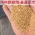 喷浆玉米皮家禽家畜营养好饲料适用牛羊马等增强家免疫力