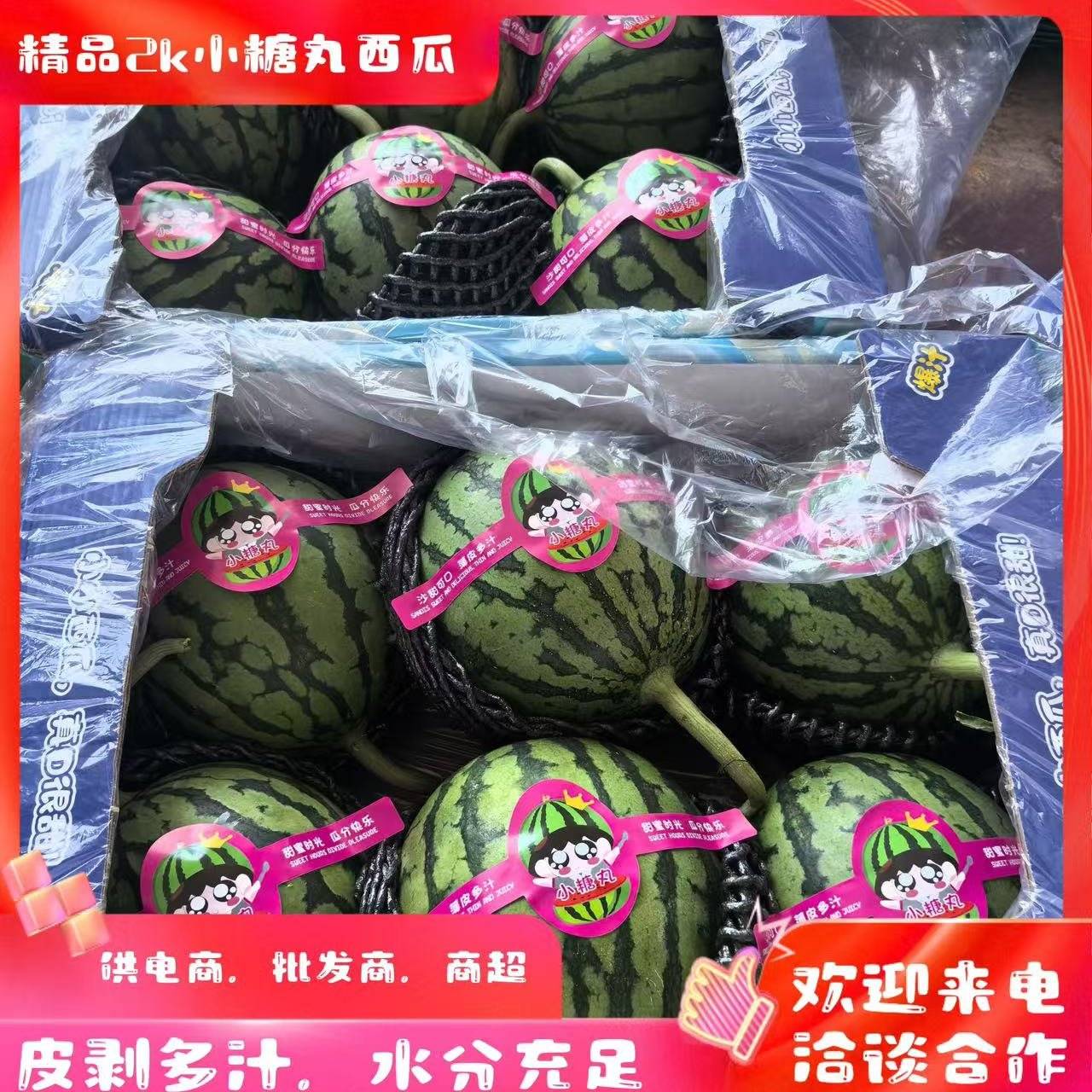 一亩田 | 小糖丸西瓜安徽宿州砀山县0.40元/ | 砀山2K小糖丸大量
