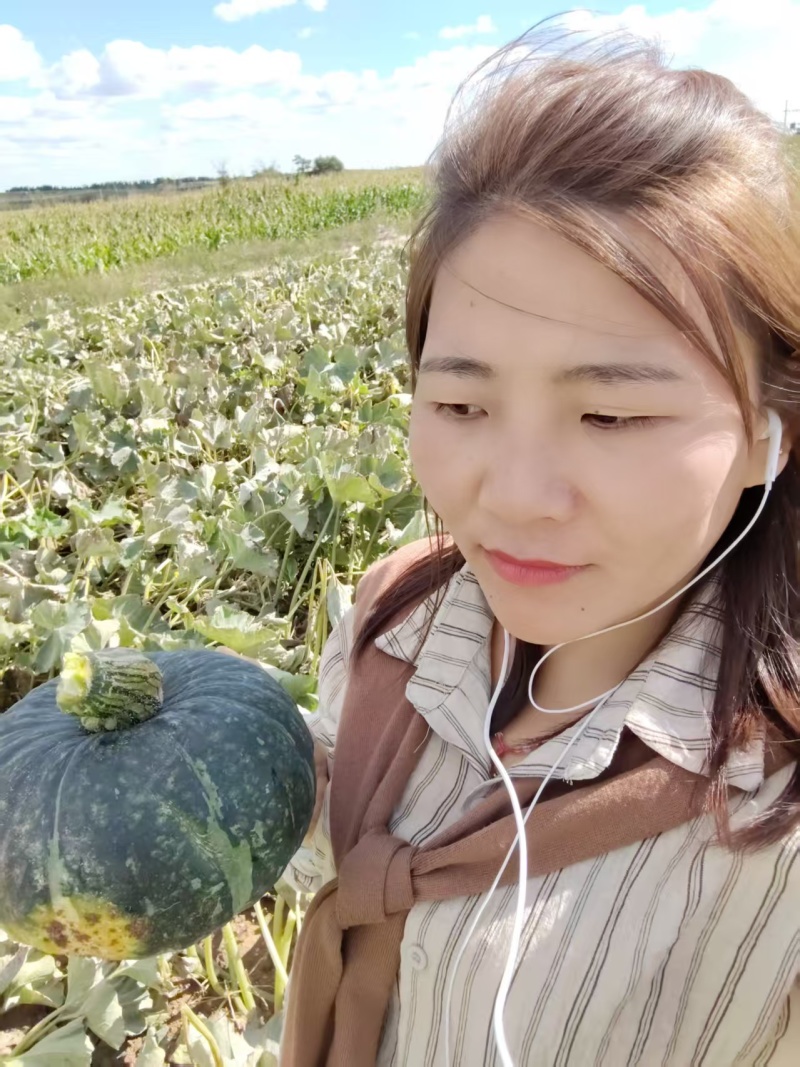 【推荐】精品贝贝南瓜大量供应产地直发供应商超电商市场
