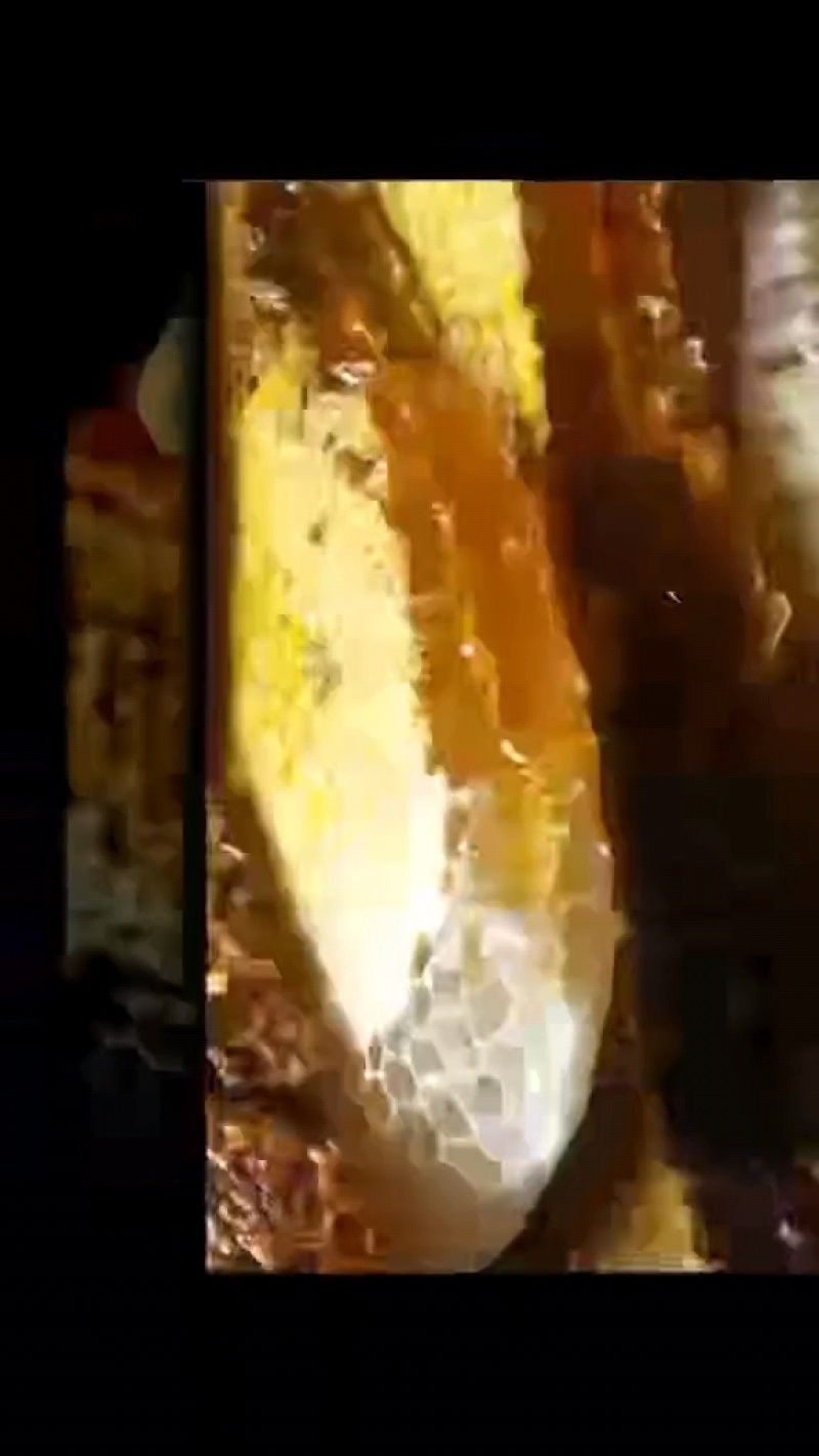云南纯正野蜂蜜，可一件代发，口感香甜，色泽润