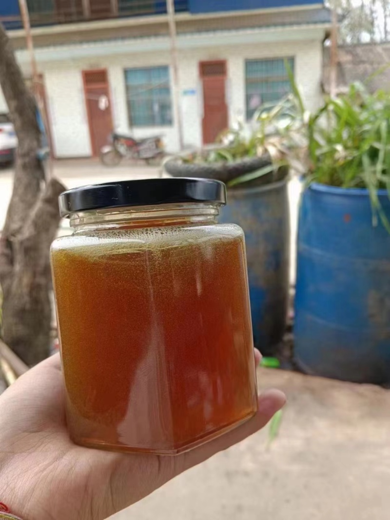 云南纯正野蜂蜜，可一件代发，口感香甜，色泽润
