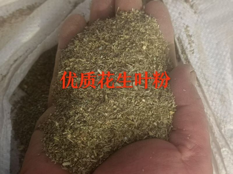 花生叶粉上等好饲料品质有保障大工厂直发