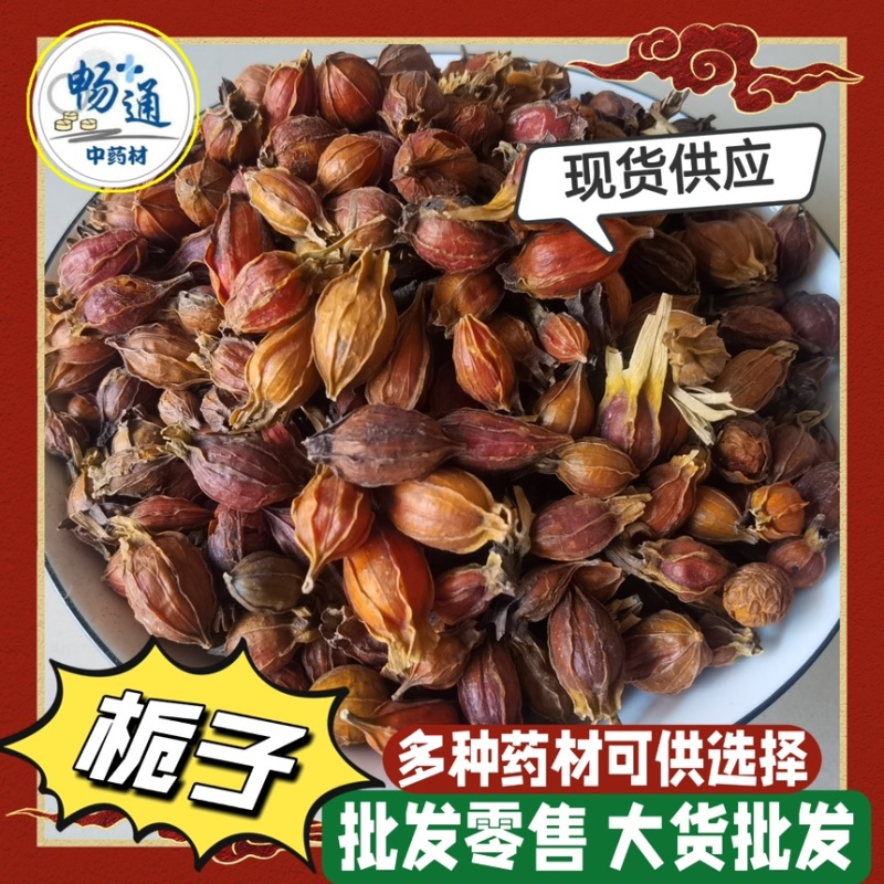 中药材栀子