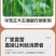 华东正大4%母羊预混料营养丰富易消化上胎率高产羔量多饲料