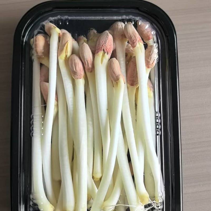 花生芽也称长寿芽