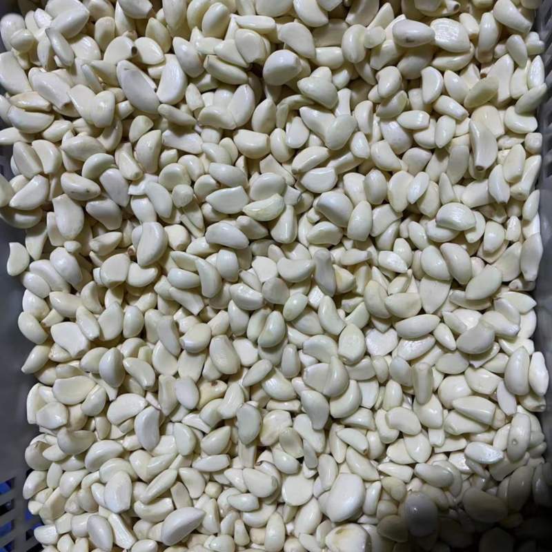 蒜米货量充足，产地直发，欢迎客商来电咨询
