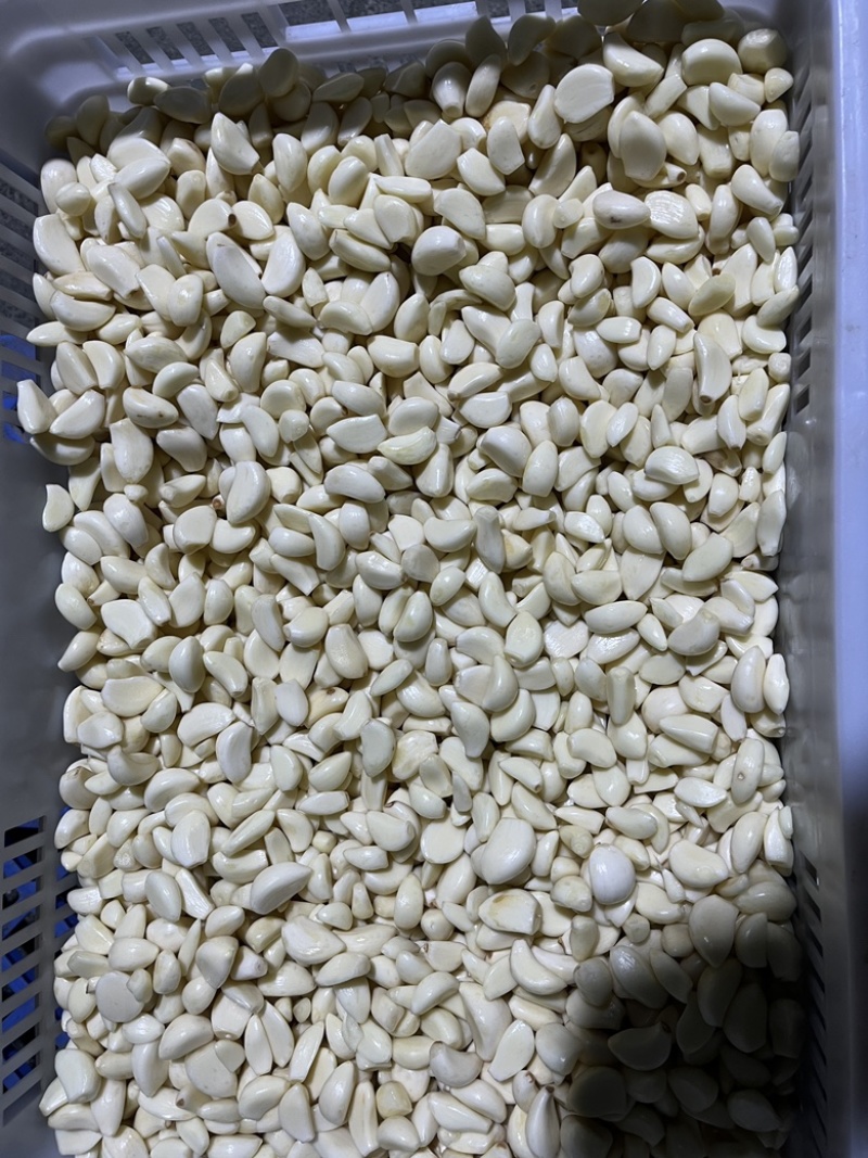 蒜米货量充足，产地直发，欢迎客商来电咨询