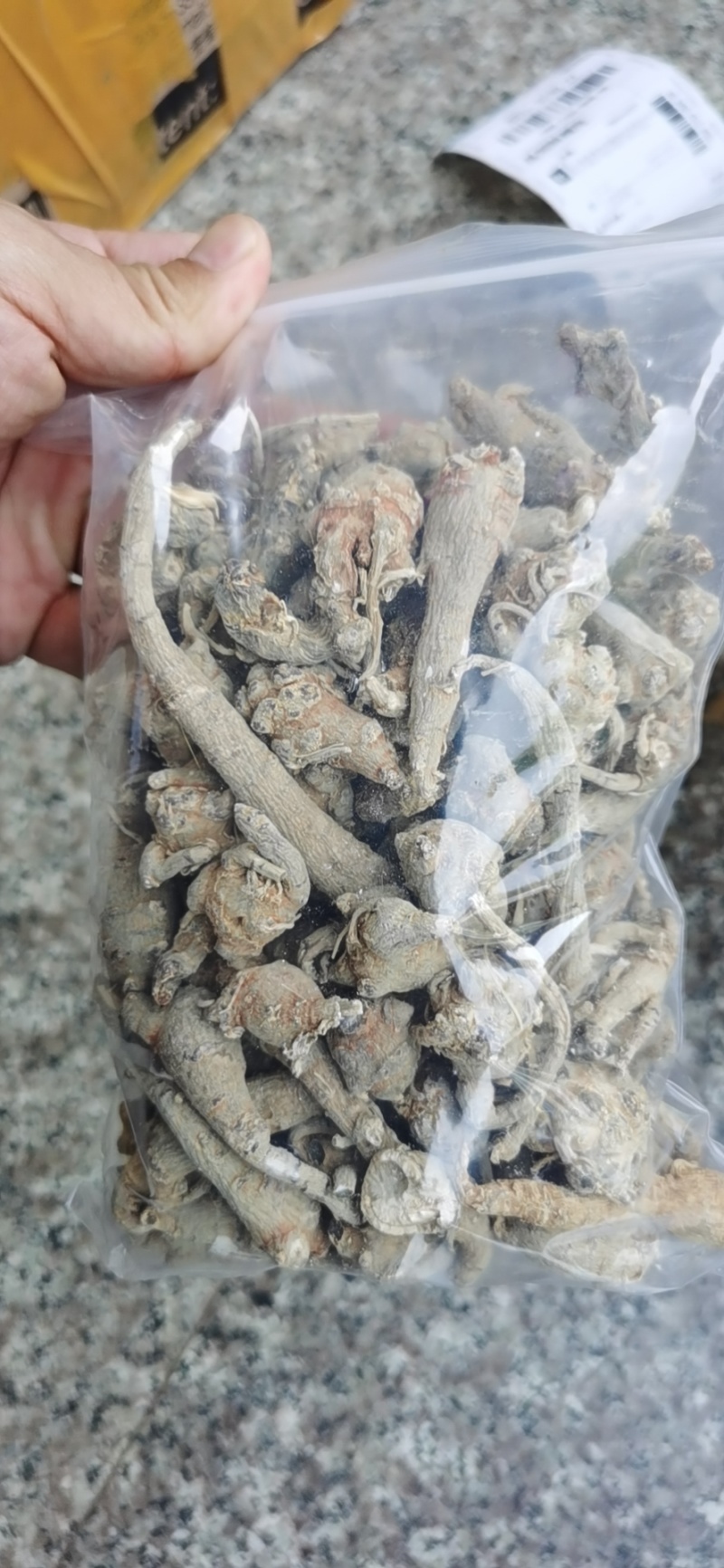 正品林下三七无农残仿野生种植高品质