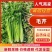 带叶子芹菜诚信经营，质量保证，欢迎来电咨询