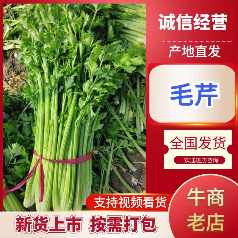 毛芹支持视频看货，可发往全国市场