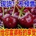 【优质礼盒装】山东樱桃美早樱桃-产地直发-价格优惠-支持看货