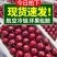 【优质礼盒装】山东樱桃美早樱桃-产地直发-价格优惠-支持看货