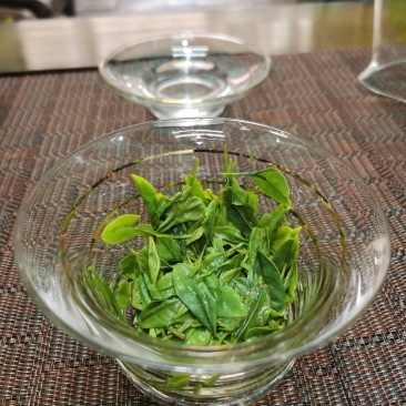 2025新茶明前恩施玉露二级一斤起批发价