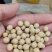 黑河大豆蛋白40以上大量有货