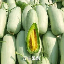 博洋61山东万亩甜瓜基地一手货源诚信经营代发全国