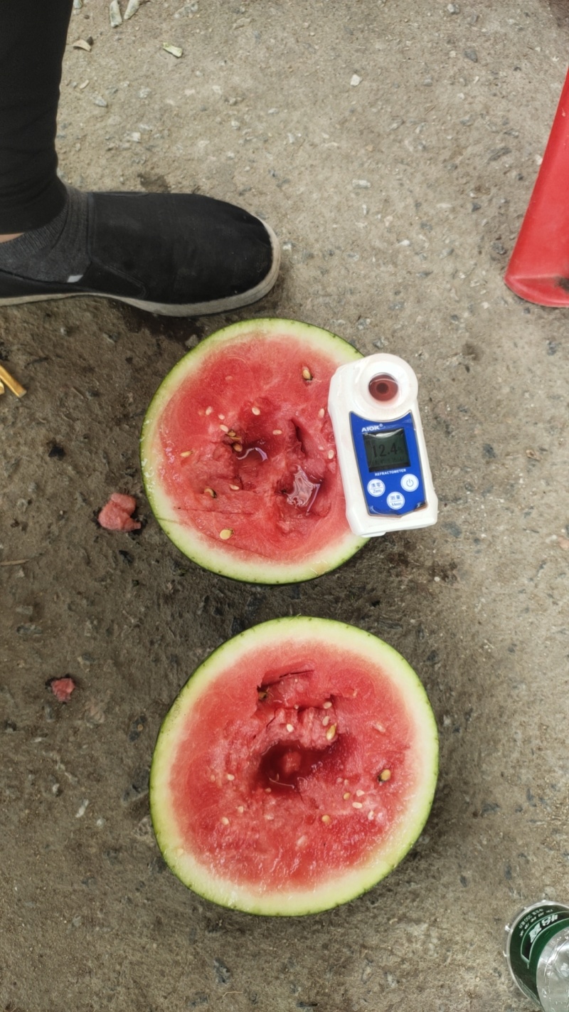 陕西甜王西瓜/薄皮红瓤无籽甜王/甜度高/地头直发货源充足