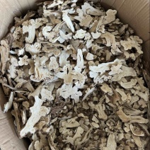 白术正品生白术白术片选货白术发货如图