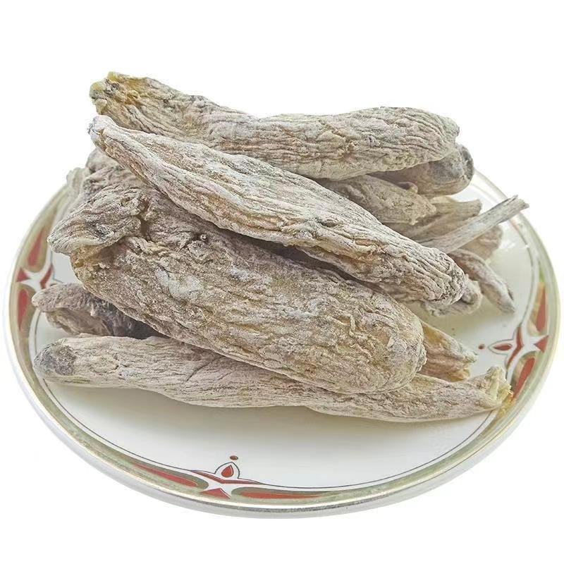茉莉花根紫茉莉花根硫茉莉花根入地鼠货真价