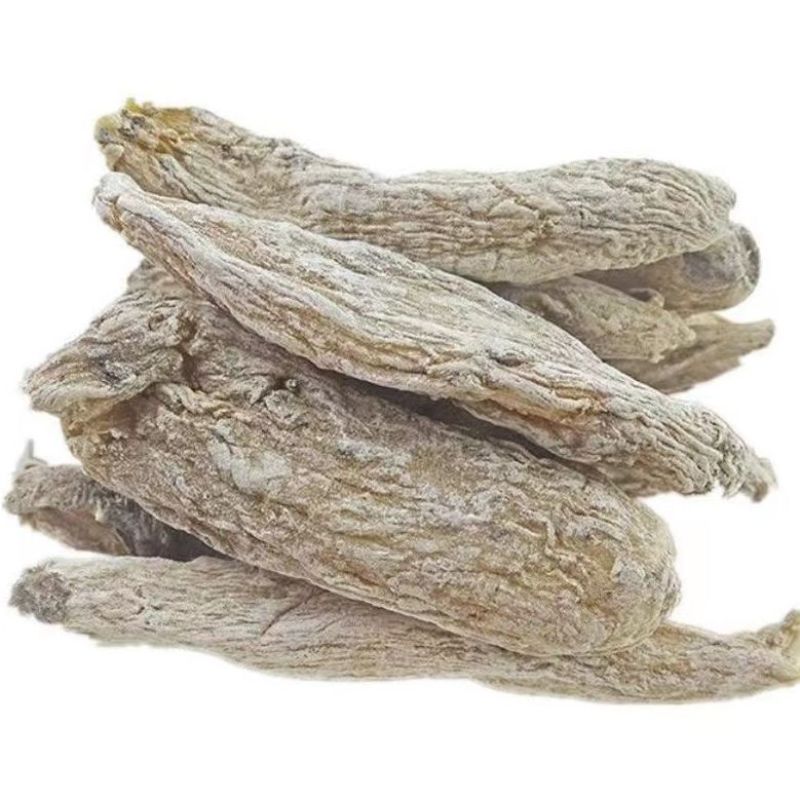 茉莉花根紫茉莉花根硫茉莉花根入地鼠货真价