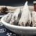 茉莉花根紫茉莉花根硫茉莉花根入地鼠货真价