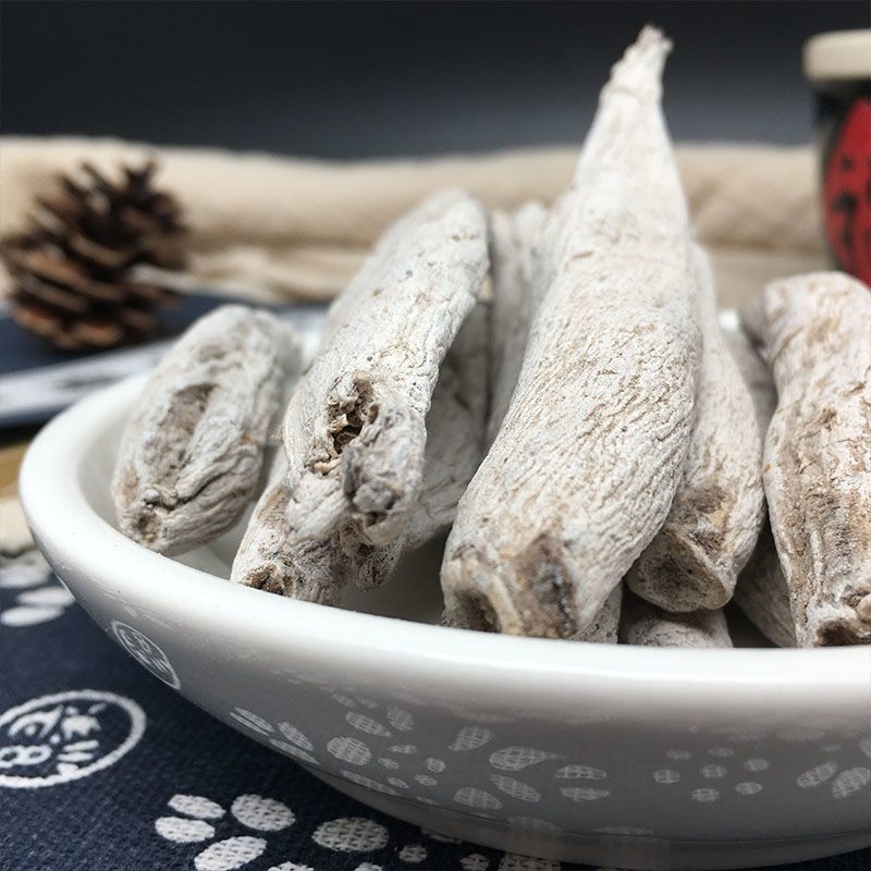 茉莉花根紫茉莉花根硫茉莉花根入地鼠货真价