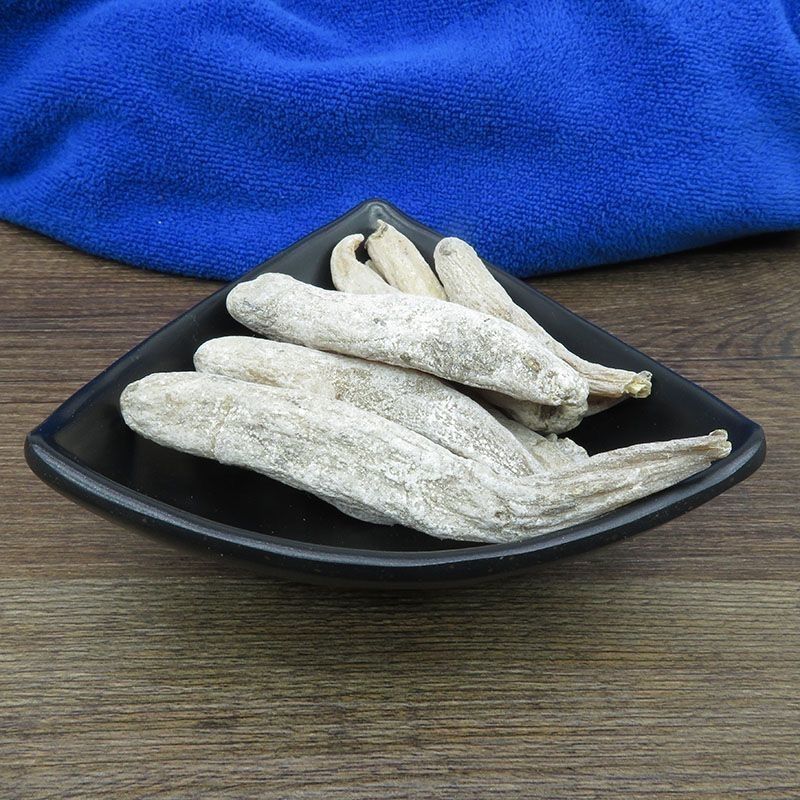 茉莉花根紫茉莉花根硫茉莉花根入地鼠货真价