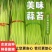 商丘睢阳头茬白帽蒜薹翠绿鲜美汁多味浓农家自产品质优良