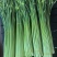商丘睢阳头茬白帽蒜薹翠绿鲜美汁多味浓农家自产品质优良