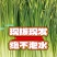 商丘睢阳头茬白帽蒜薹翠绿鲜美汁多味浓农家自产品质优良