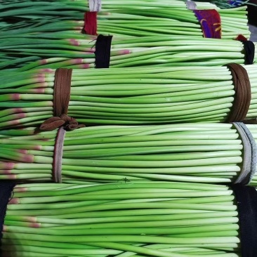 商丘睢阳红帽头茬蒜薹翠绿鲜美汁多味浓农家自产品质优良
