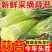 商丘睢阳红帽头茬蒜薹翠绿鲜美汁多味浓农家自产品质优良