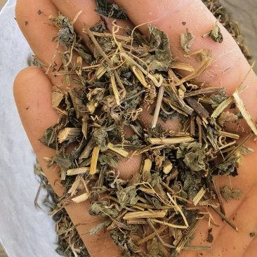绞股蓝，统药用绞股蓝新货关书药材桟批发中药材量大从优
