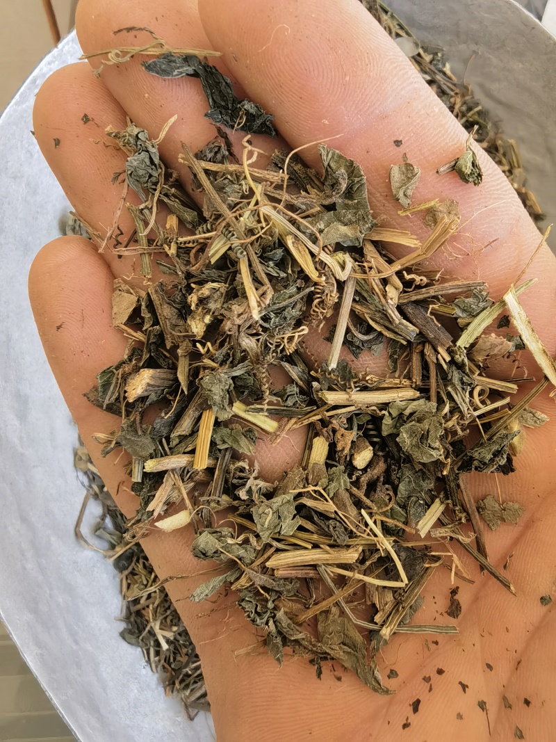 绞股蓝，统药用绞股蓝新货关书药材桟批发中药材量大从优