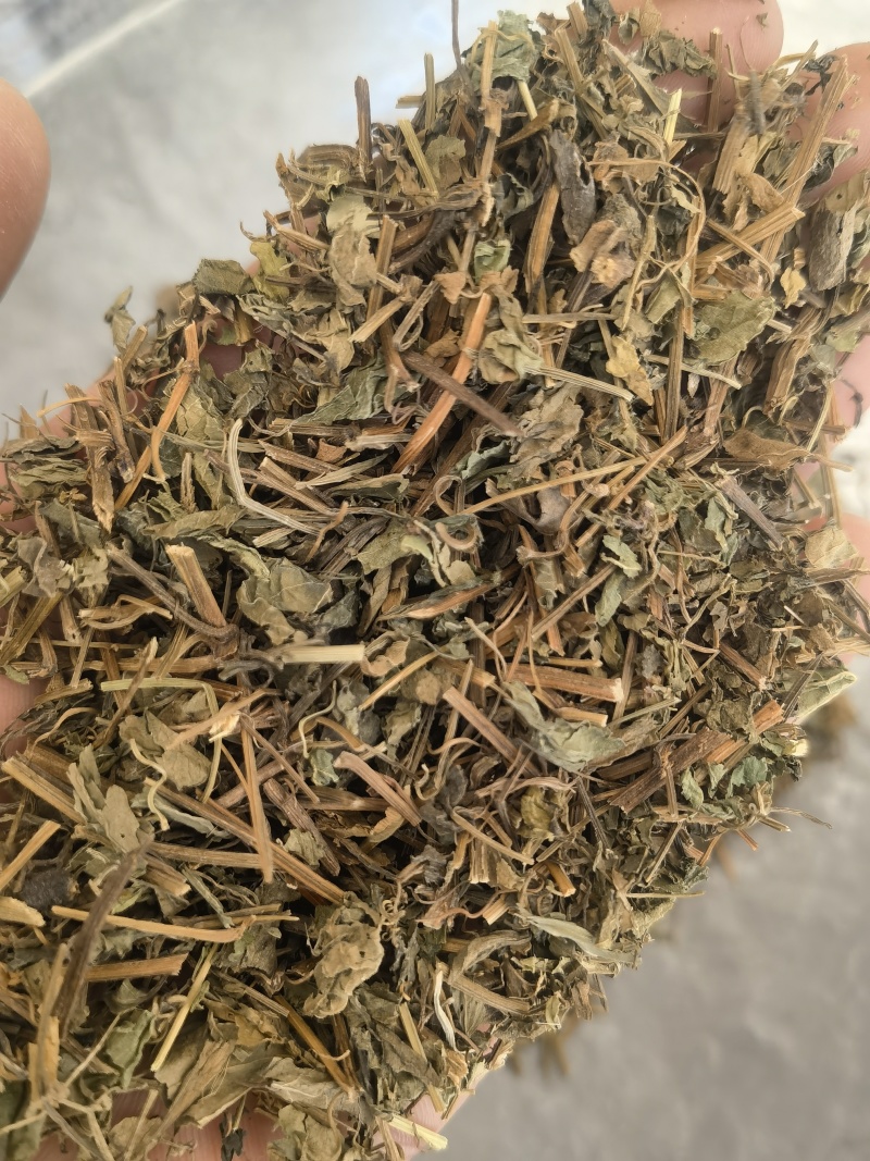 绞股蓝，统药用绞股蓝新货关书药材桟批发中药材量大从优