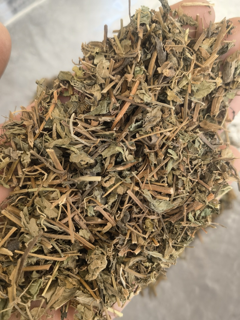 绞股蓝，统药用绞股蓝新货关书药材桟批发中药材量大从优