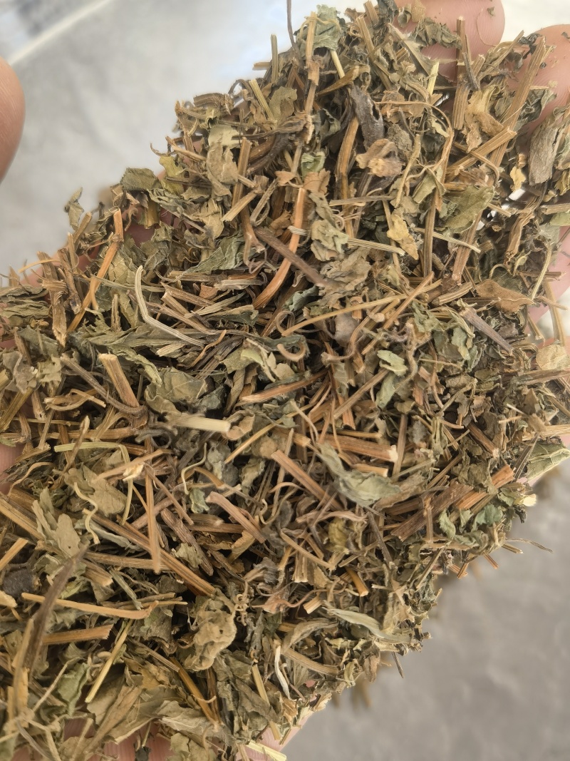 绞股蓝，统药用绞股蓝新货关书药材桟批发中药材量大从优