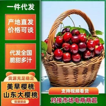 美早樱桃现货、对接电商平台、产地支持一件代发、社区团购、